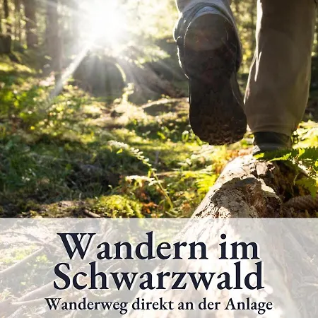 Apartment Relax-Apartments - Indoor-Pool - Sauna - Kueche - Kostenlos Parken - Balkon - Massagesessel - 85 Zoll Smart-Tv Schonach im Schwarzwald
