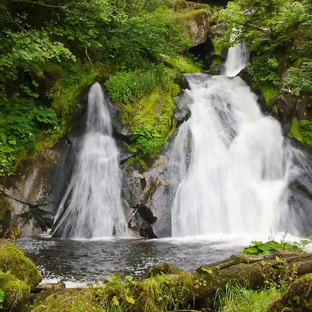 דירה Relax-apartments - Indoor-pool - Sauna - Kueche - Kostenlos Parken - Balkon - Teilweise Massagesessel - 85 Zoll Smart-tv סכונאץ'