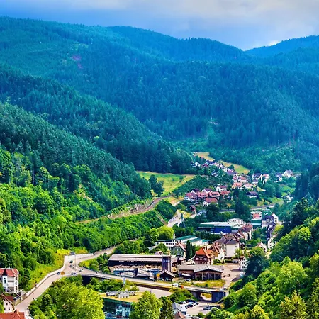 Relax-Apartments - Indoor-Pool - Sauna - Kueche - Kostenlos Parken - Balkon - Massagesessel - 85 Zoll Smart-Tv Apartment Schonach im Schwarzwald